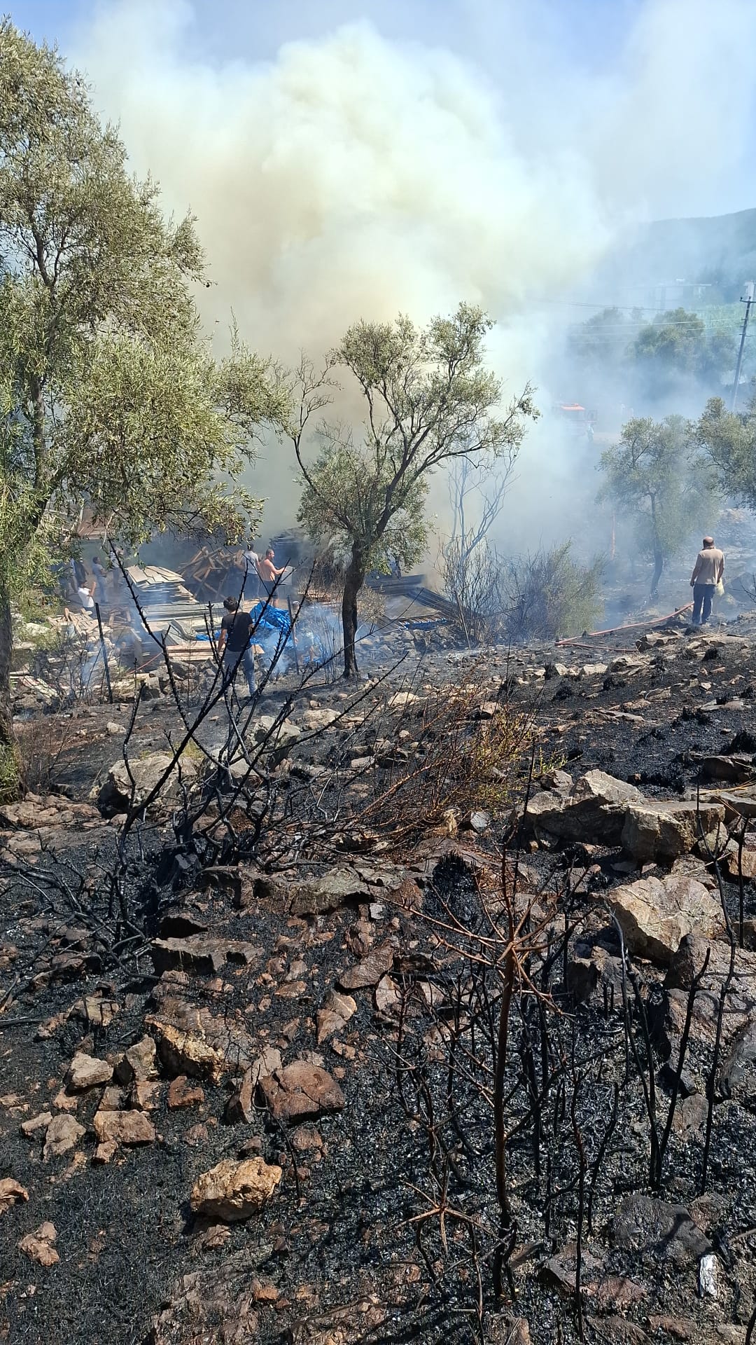 Whatsapp Image 2025 08 22 At 14.53.39