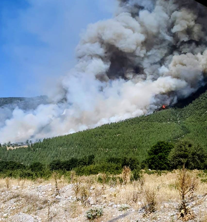 Whatsapp Image 2025 08 23 At 16.04.49 (3)