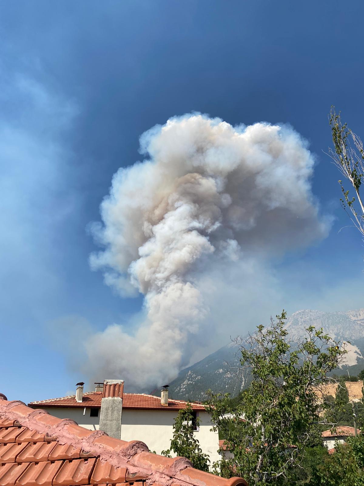 Whatsapp Image 2025 08 23 At 16.04.49 (4)