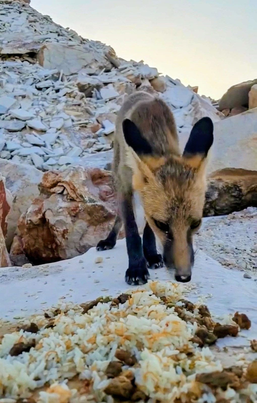 Whatsapp Image 2025 08 24 At 12.24.35