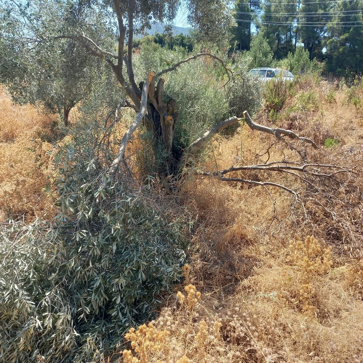 Whatsapp Image 2025 08 24 At 20.11.53