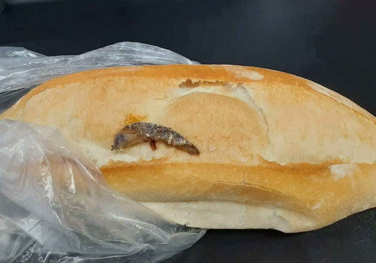 Whatsapp Image 2025 08 25 At 09.32.09