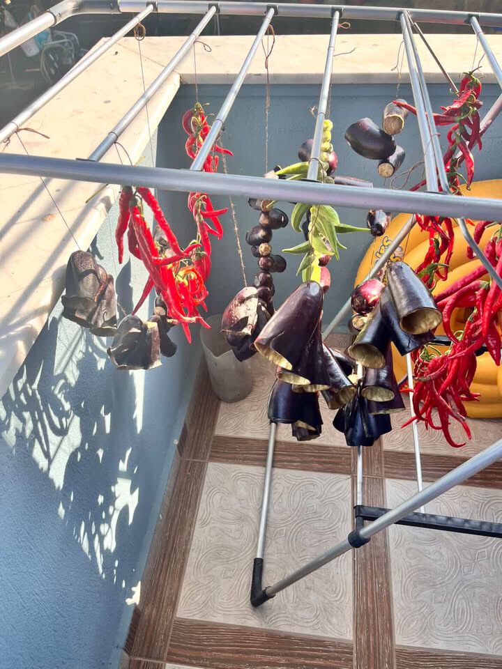 Whatsapp Image 2025 08 25 At 10.42.11