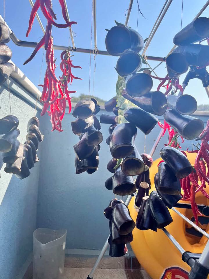 Whatsapp Image 2025 08 25 At 10.42.12