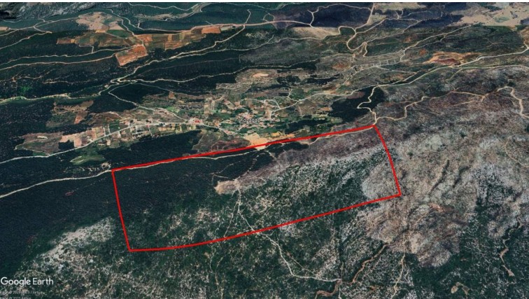 Whatsapp Image 2025 08 25 At 19.13.32 (1)