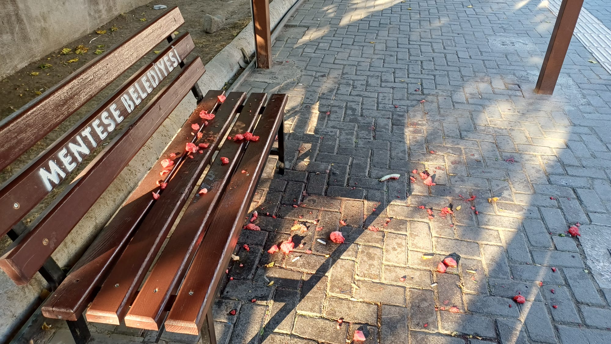 Whatsapp Image 2025 08 26 At 08.30.24 (1)