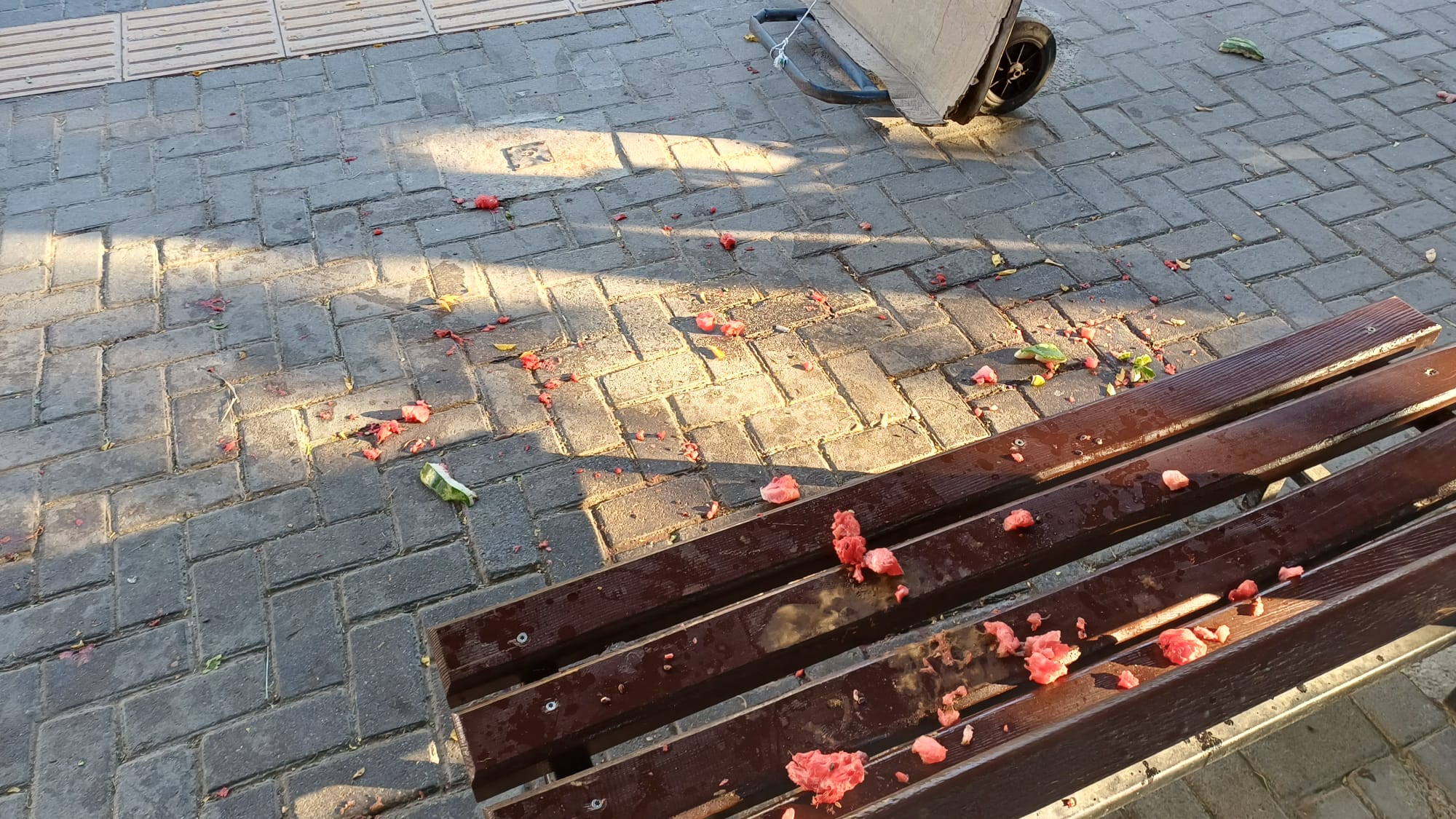 Whatsapp Image 2025 08 26 At 08.30.24 (2)