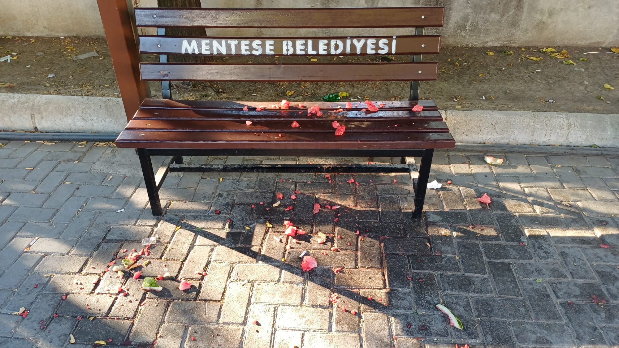 Whatsapp Image 2025 08 26 At 08.30.24 (3)