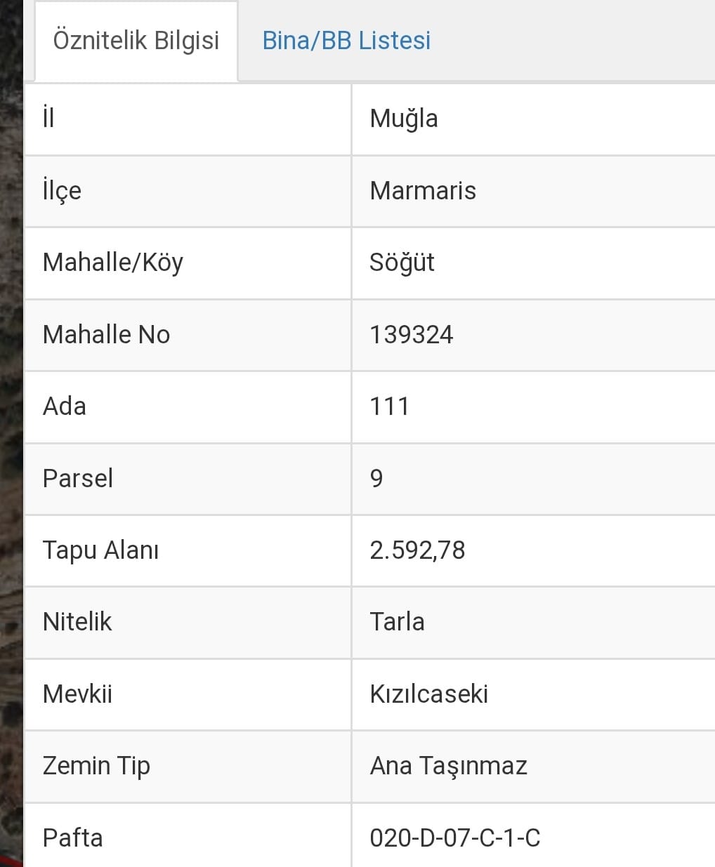 Whatsapp Image 2025 08 26 At 09.32.07