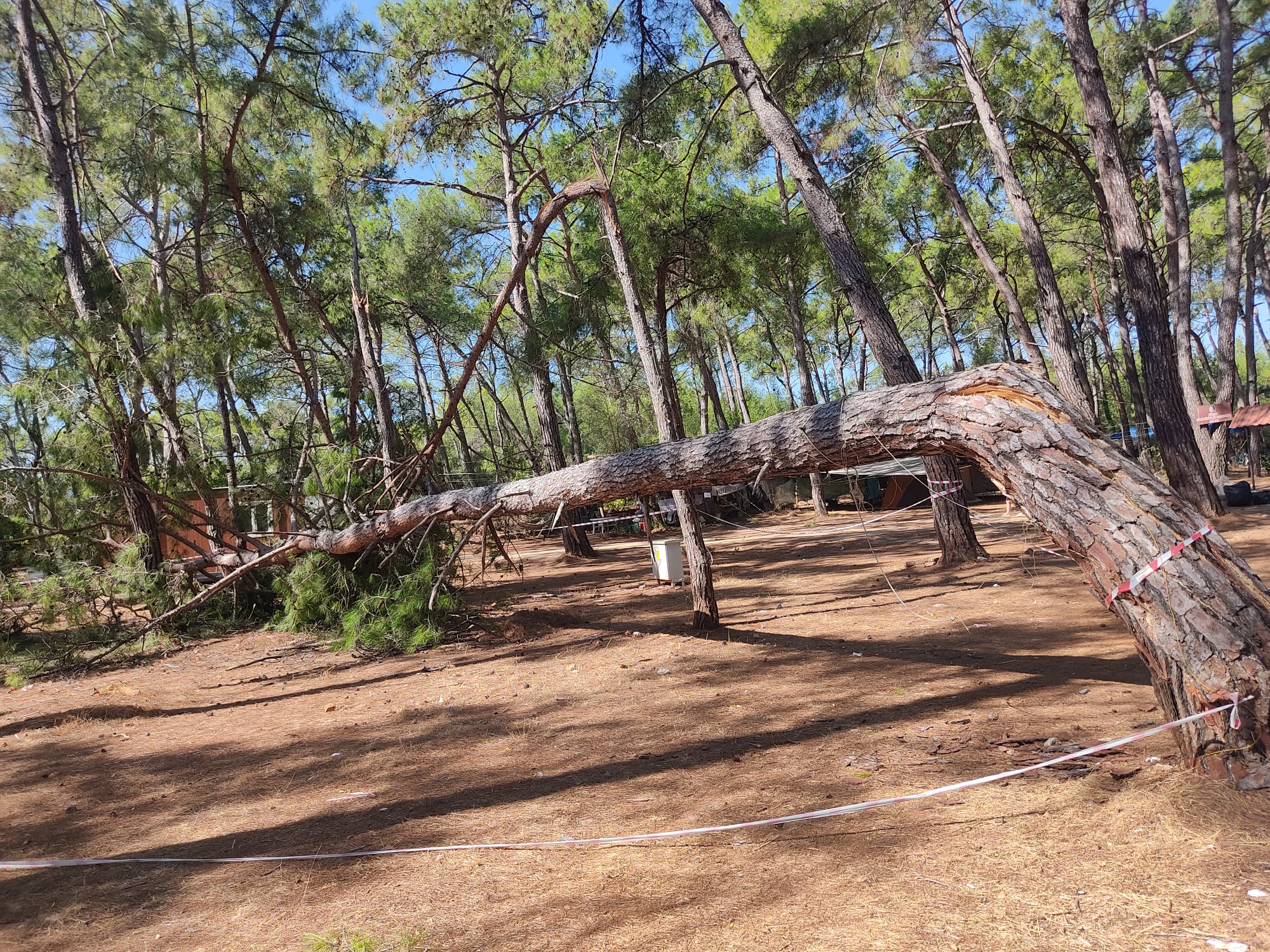 Whatsapp Image 2025 08 26 At 14.00.35 (1)