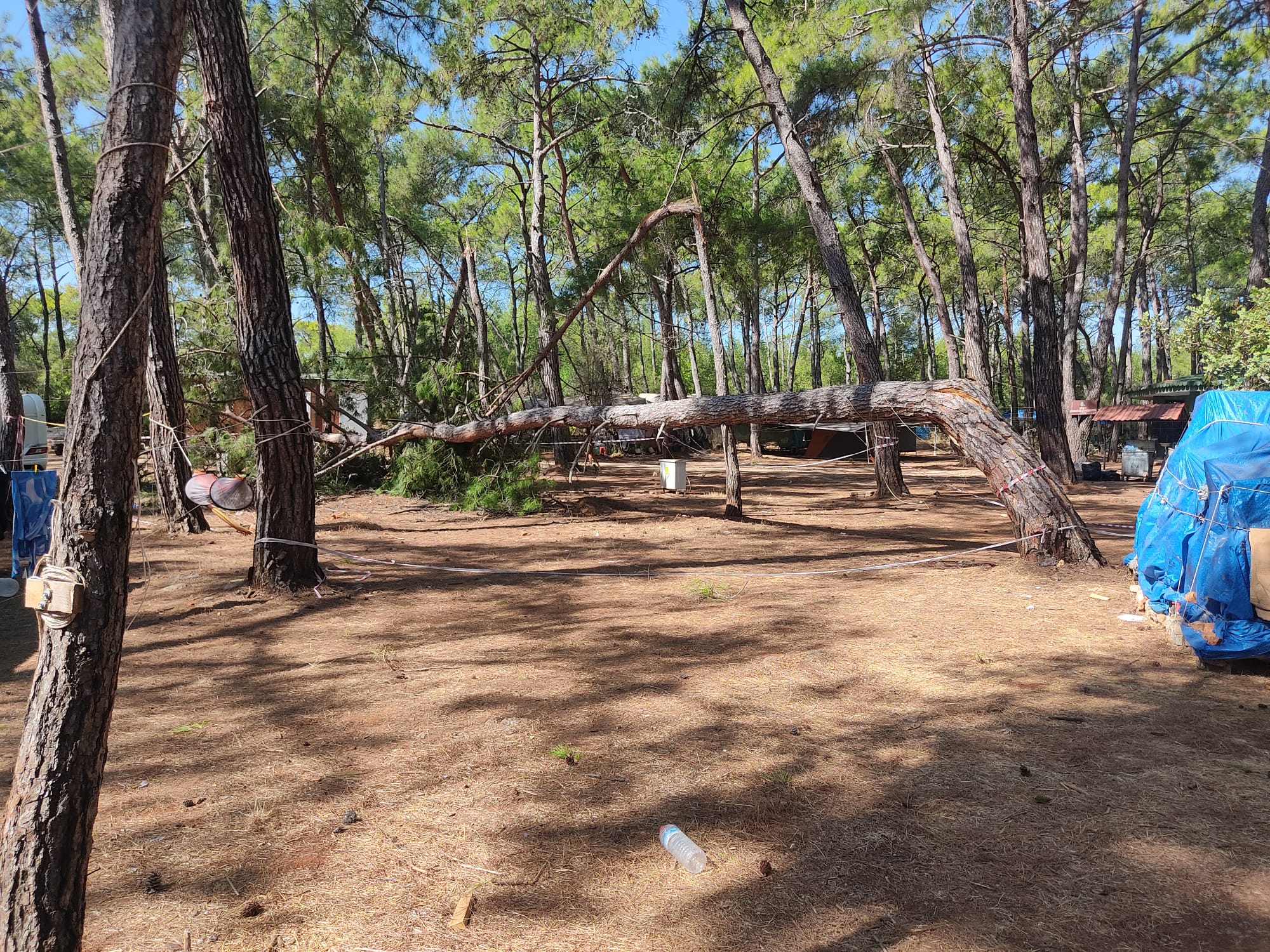 Whatsapp Image 2025 08 26 At 14.00.35