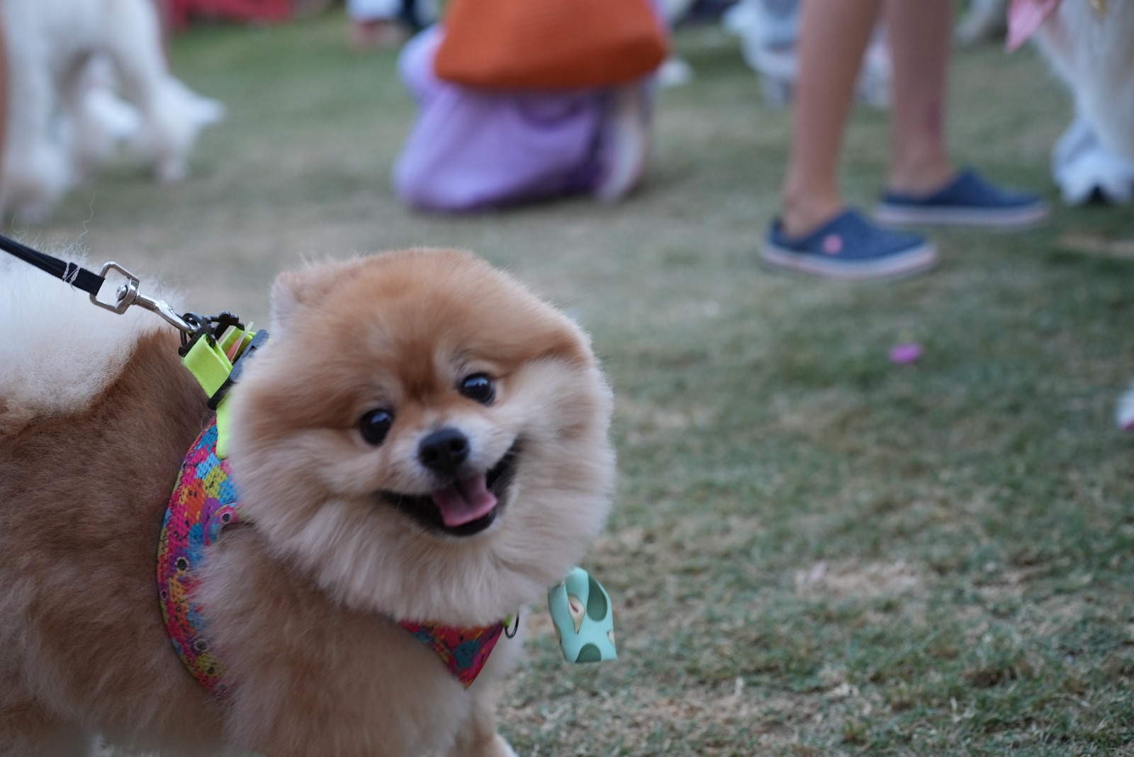 Whatsapp Image 2025 08 26 At 14.38.40