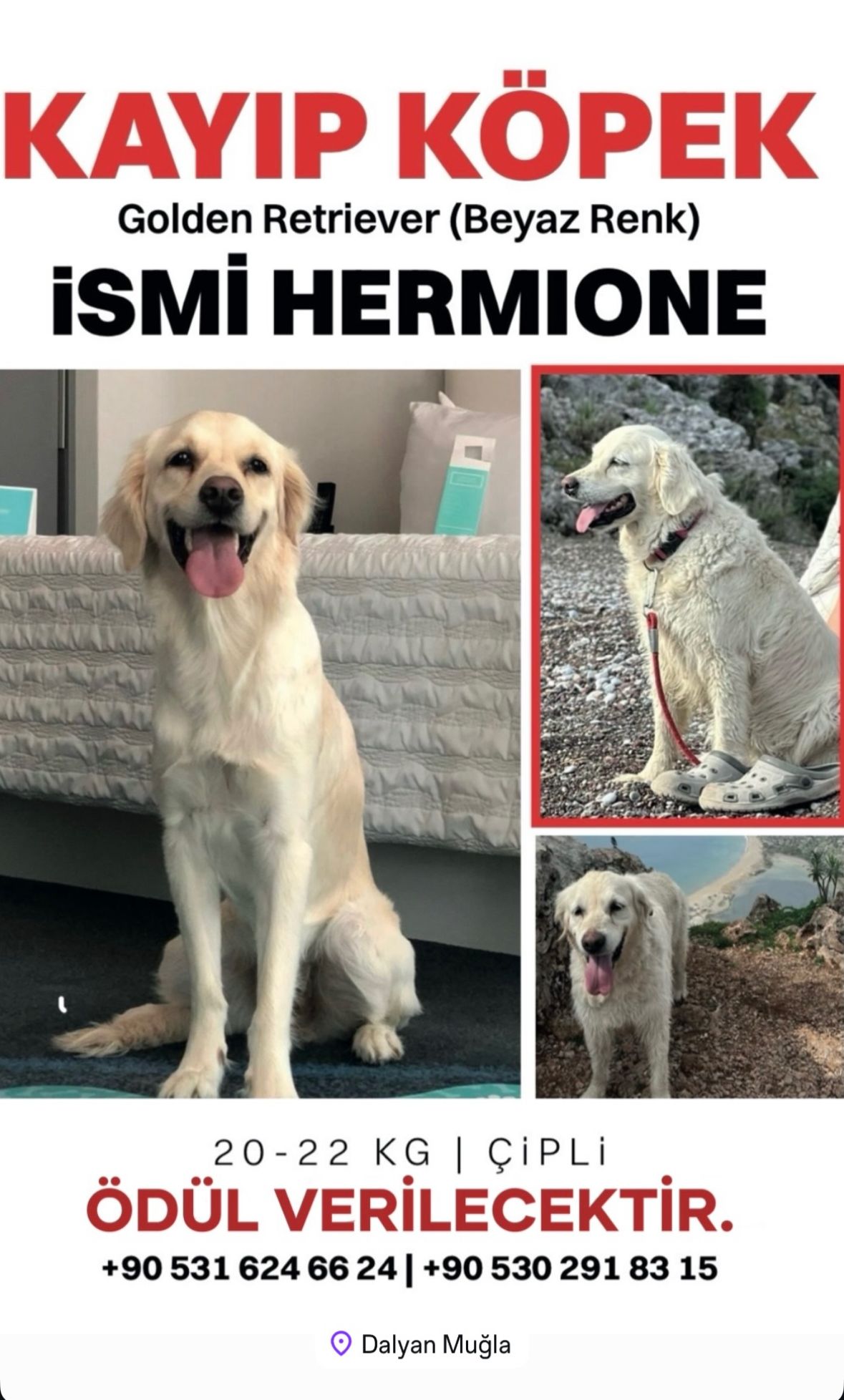 Whatsapp Image 2025 08 27 At 16.51.23