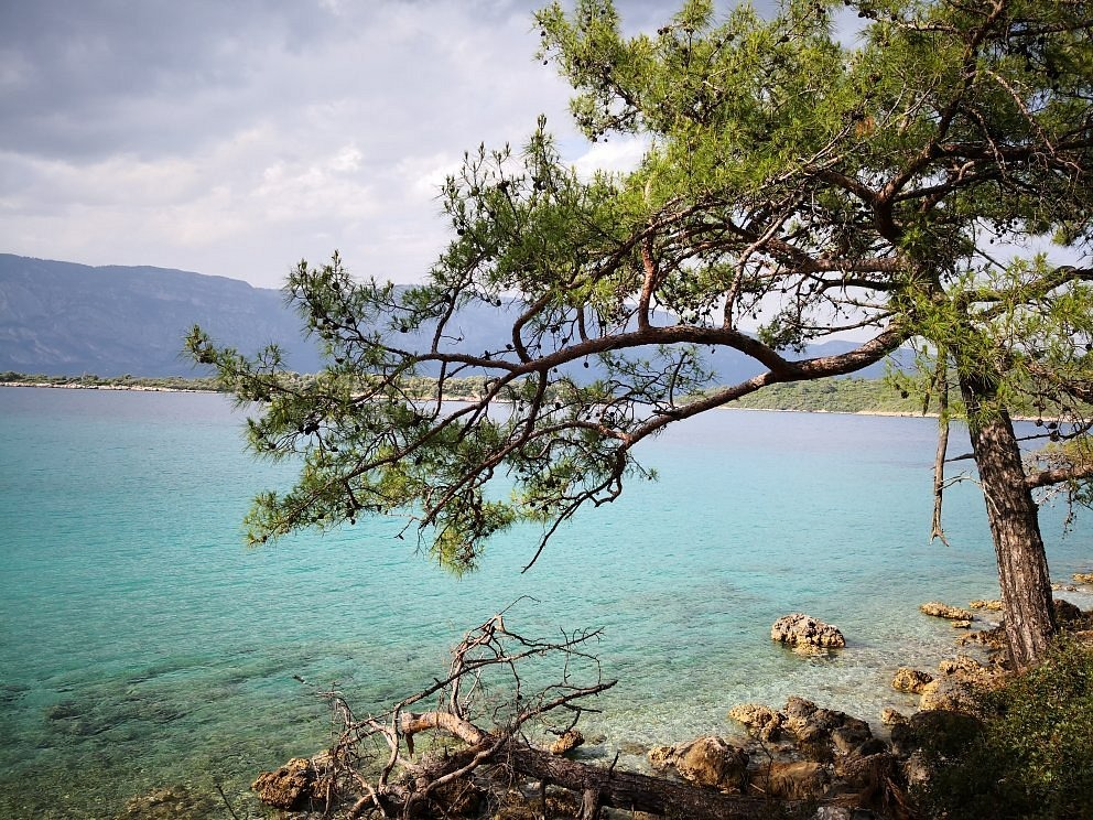 Whatsapp Image 2025 08 28 At 14.43.20 (1)