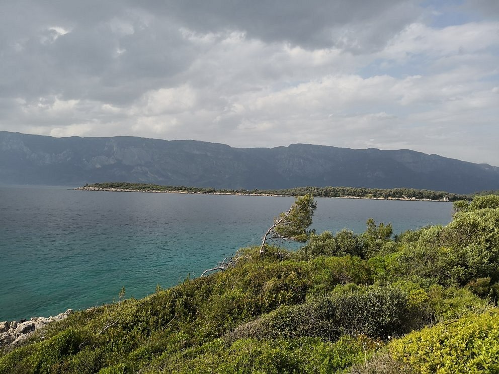 Whatsapp Image 2025 08 28 At 14.43.20