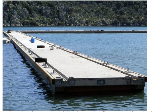 Whatsapp Image 2025 08 28 At 15.25.17 (2)