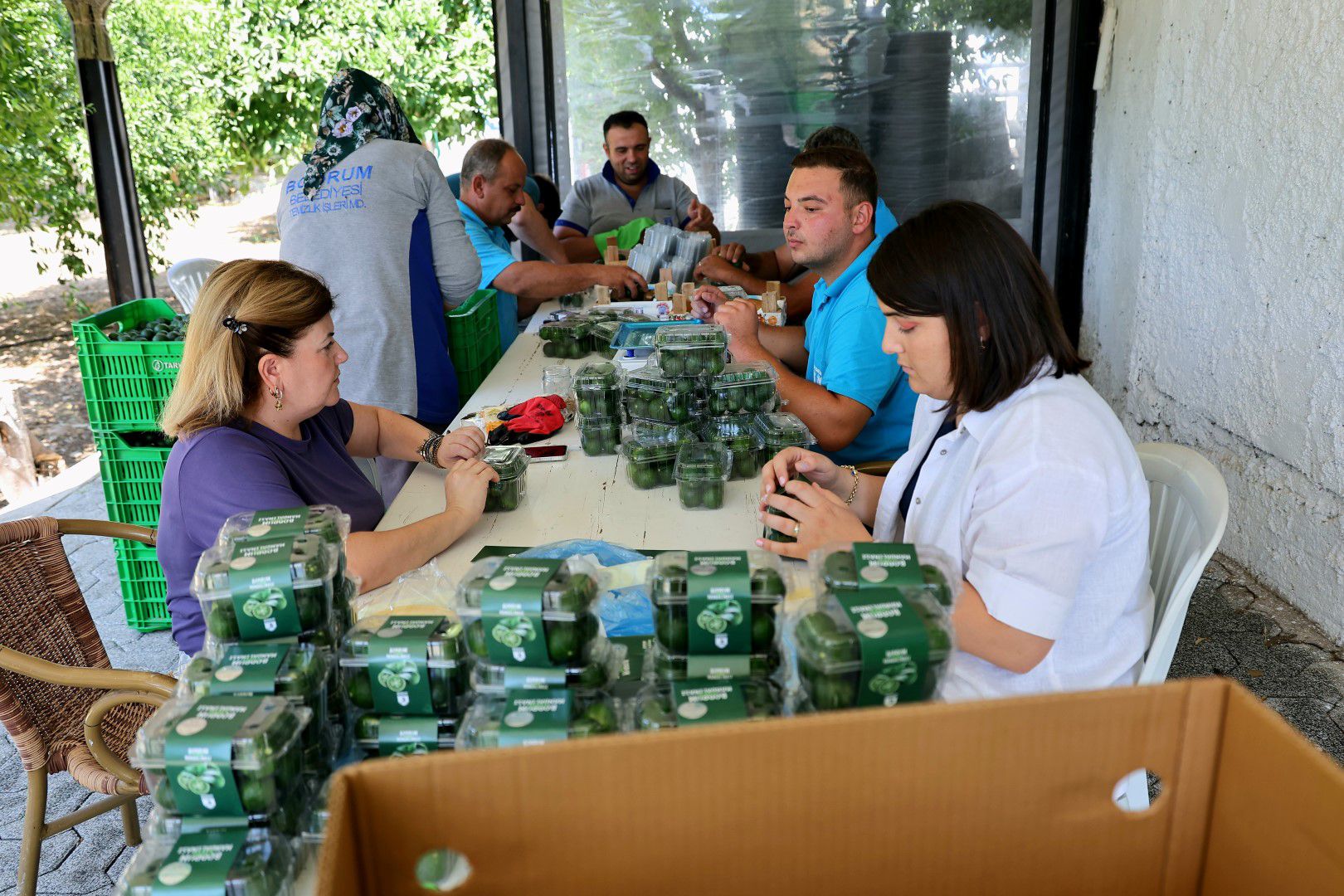 Whatsapp Image 2025 08 28 At 16.04.52