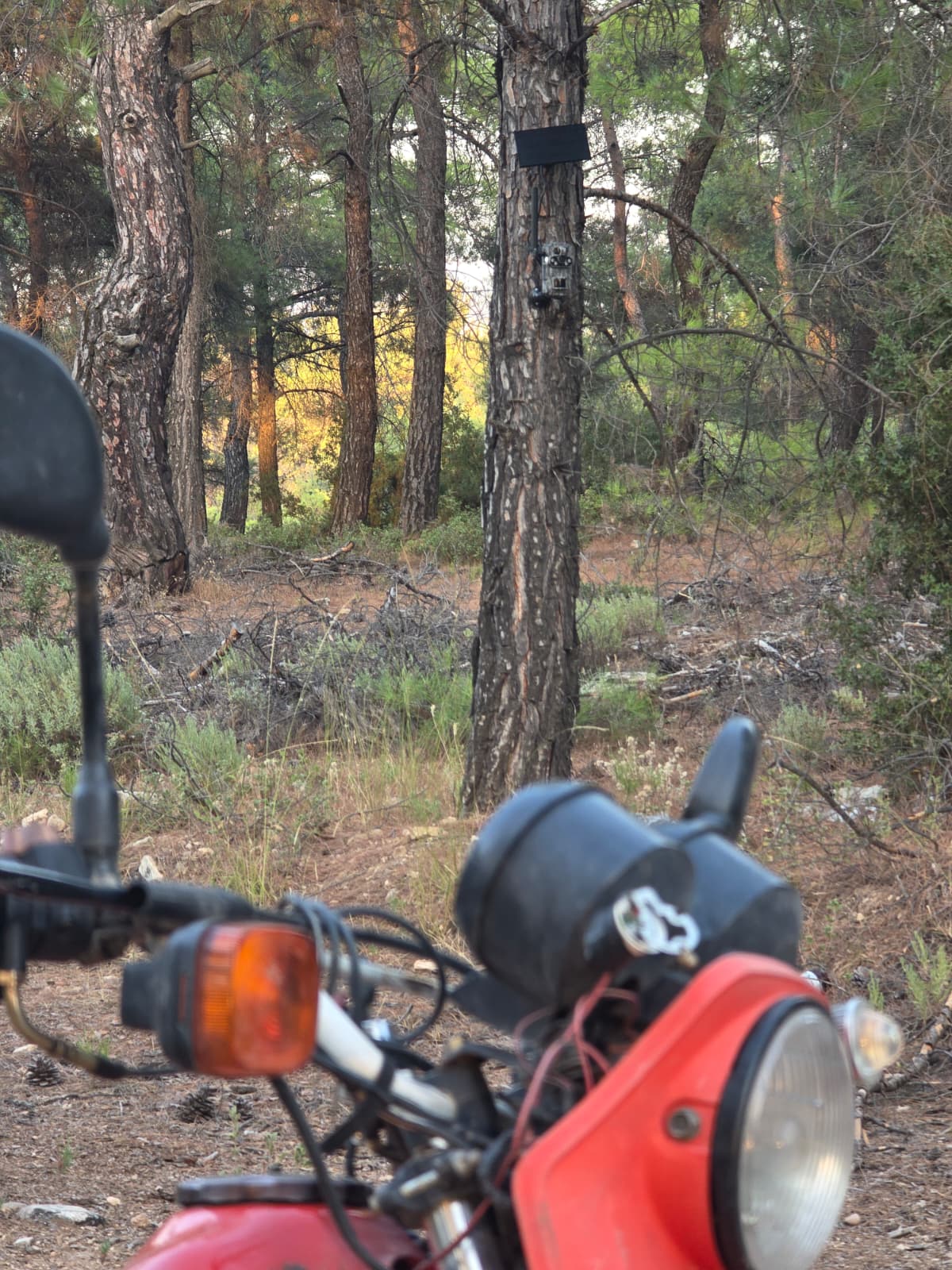 Whatsapp Image 2025 08 29 At 09.03.37