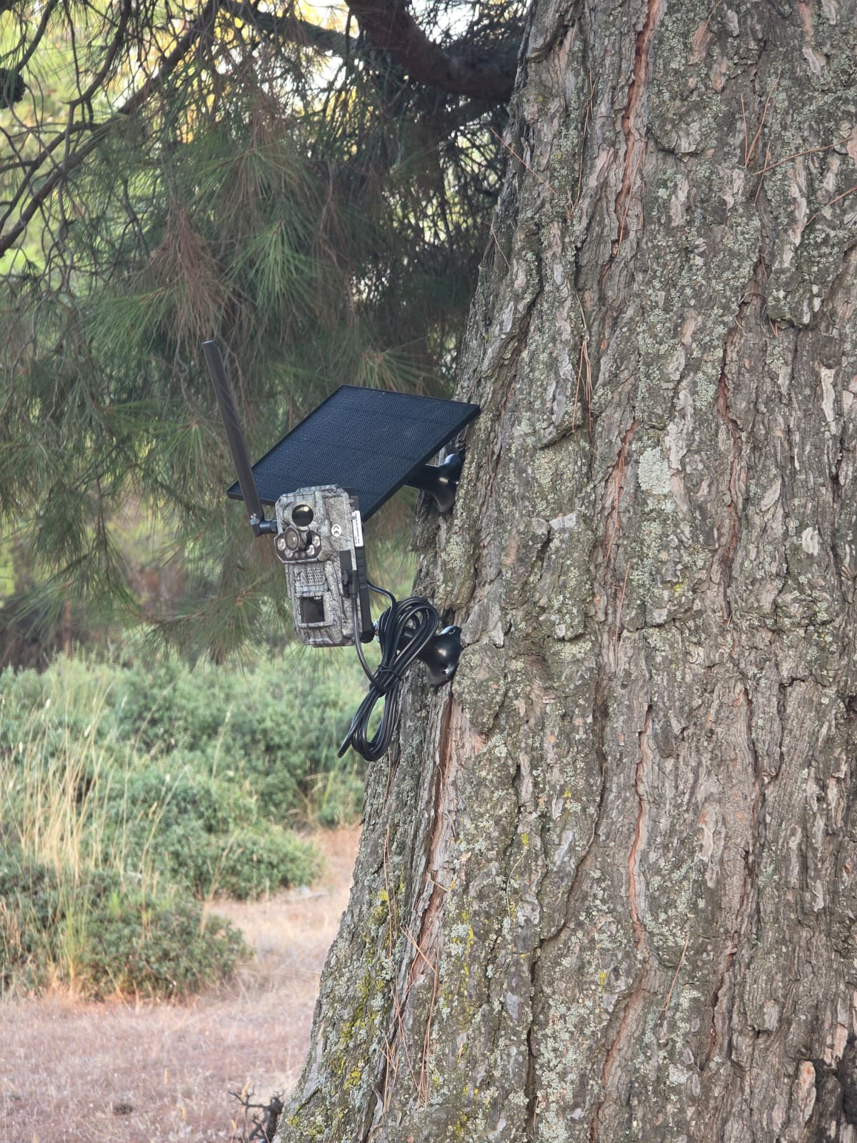 Whatsapp Image 2025 08 29 At 09.03.38 (1)