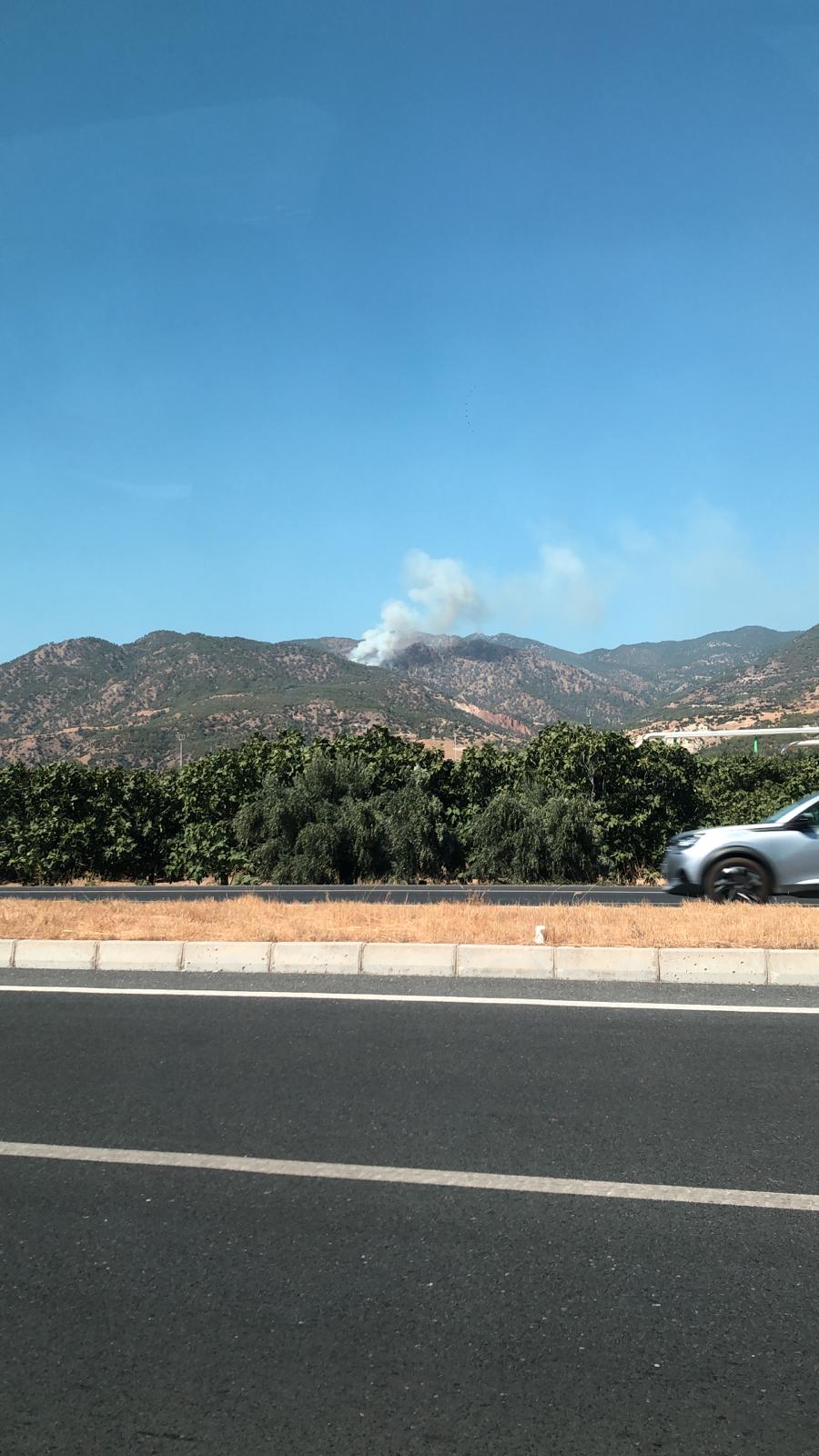 Whatsapp Image 2025 08 29 At 15.05.40