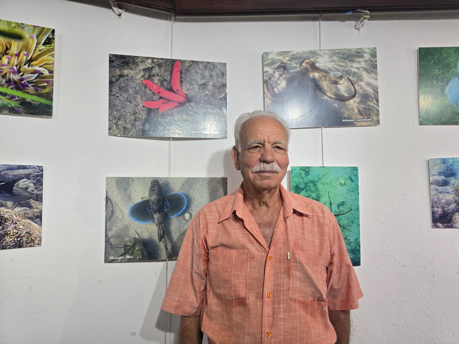 A A 20250903 39006293 39006288 D A T C A D A D E N I Z K A B U K L A R I V E S U A L T I F O T O G R A F L A R I S E R G I S I A C I L D I