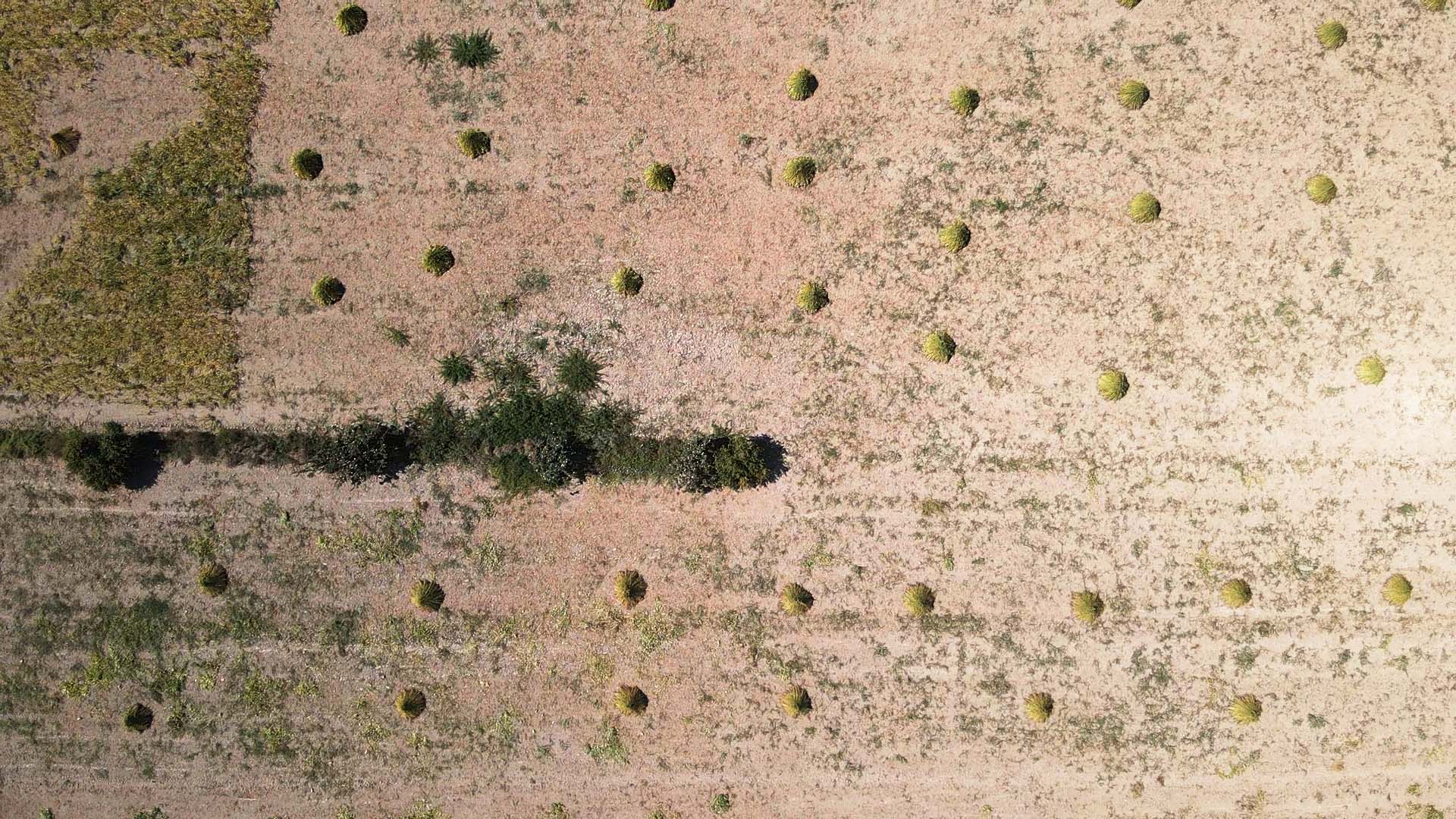 A A 20250910 39072656 39072637 G O K O V A K O R F E Z I N I N K I Y I L A R I N D A A R O M A S I N I D E L I M E M E T R U Z G A R I N D A N A L A N S U S A M I N U R E T I M I A R T T I