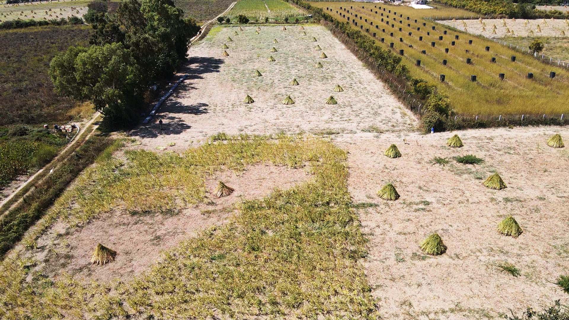 A A 20250910 39072656 39072640 G O K O V A K O R F E Z I N I N K I Y I L A R I N D A A R O M A S I N I D E L I M E M E T R U Z G A R I N D A N A L A N S U S A M I N U R E T I M I A R T T I