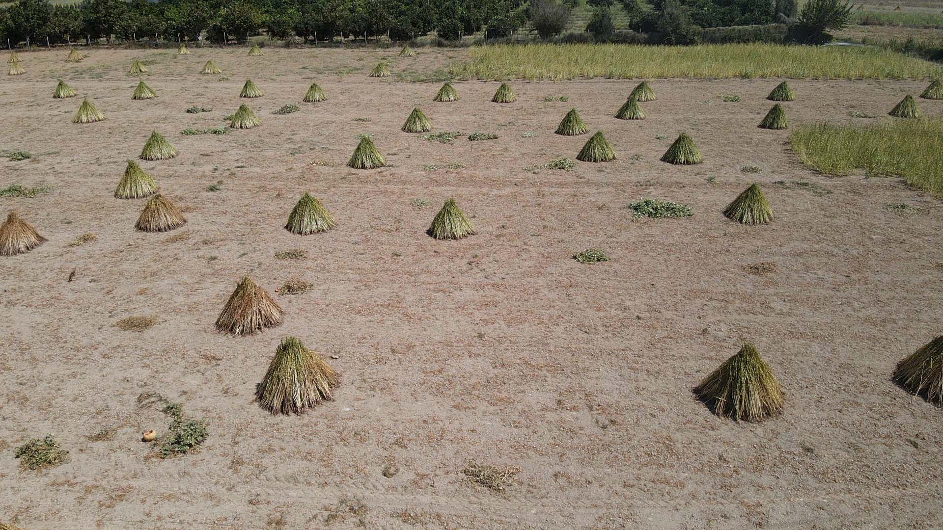 A A 20250910 39072656 39072647 G O K O V A K O R F E Z I N I N K I Y I L A R I N D A A R O M A S I N I D E L I M E M E T R U Z G A R I N D A N A L A N S U S A M I N U R E T I M I A R T T I