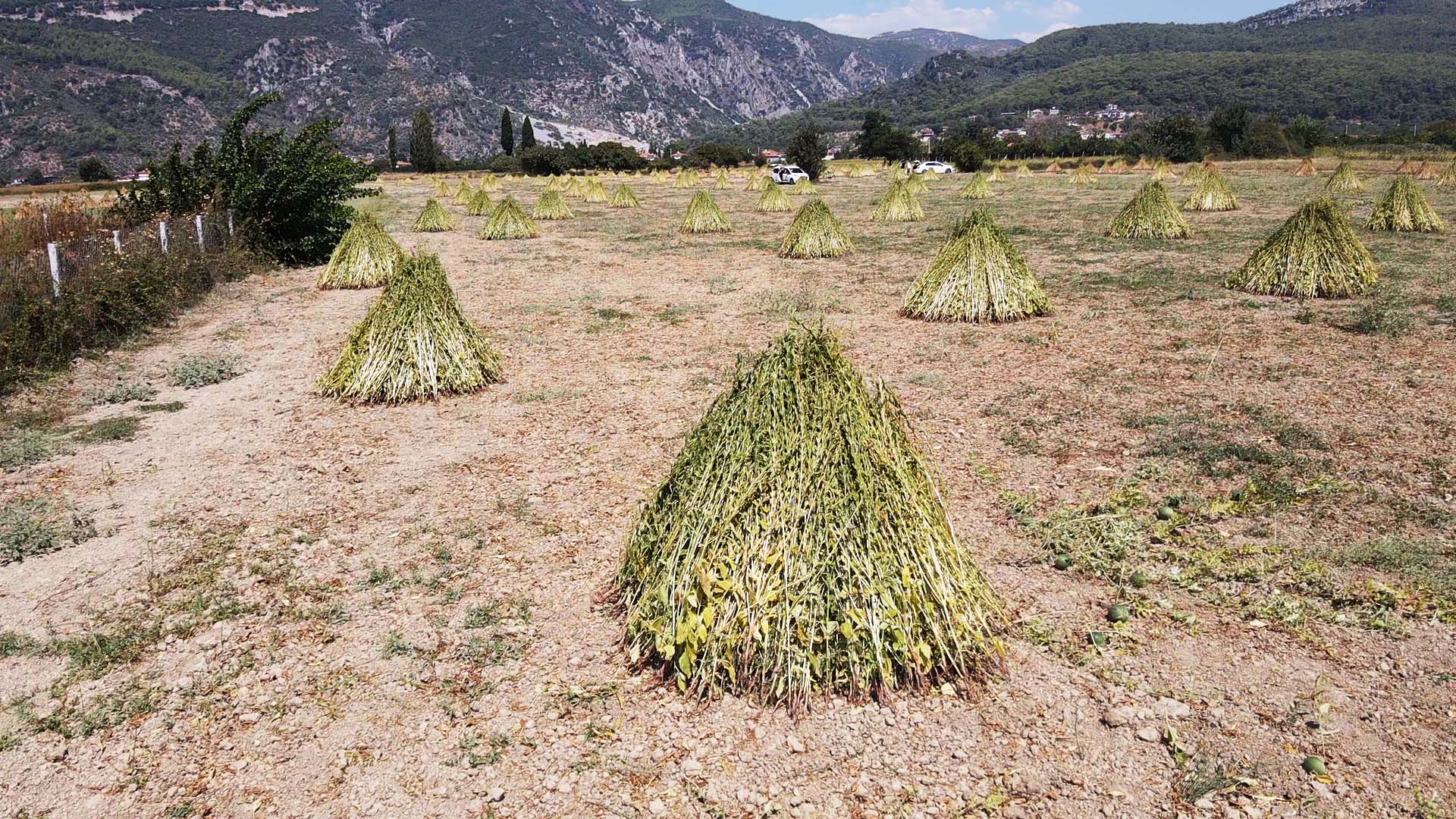 A A 20250910 39072656 39072648 G O K O V A K O R F E Z I N I N K I Y I L A R I N D A A R O M A S I N I D E L I M E M E T R U Z G A R I N D A N A L A N S U S A M I N U R E T I M I A R T T I