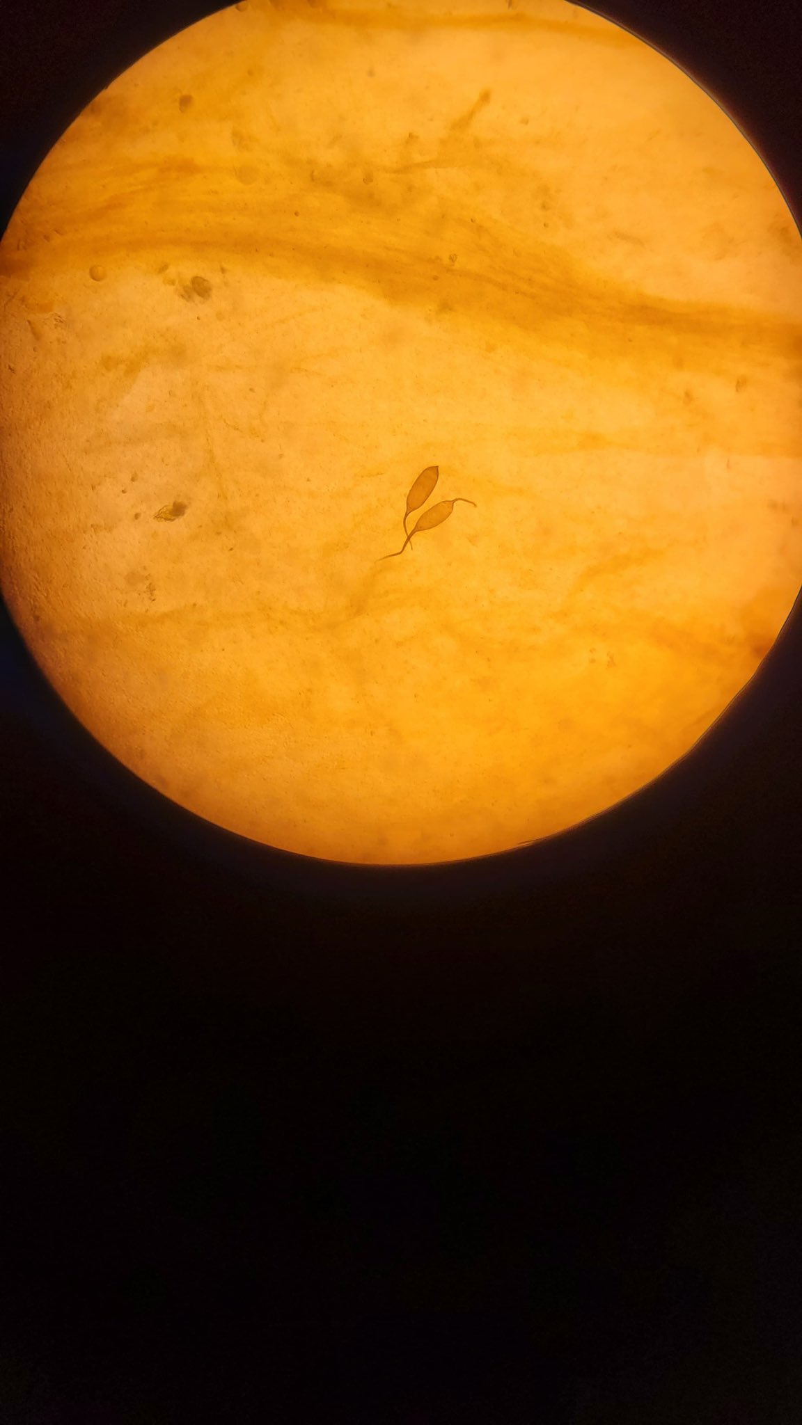 G0A Y8J N W M A A6 K4