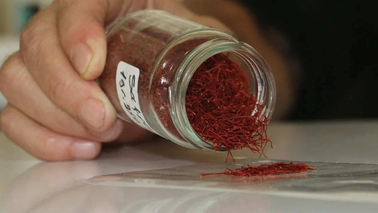 Kilosu 250 Bin Tl Oldugu Icin Sahtesi Uretiliyor Gercegi Suda Belli Oluyor 3247591