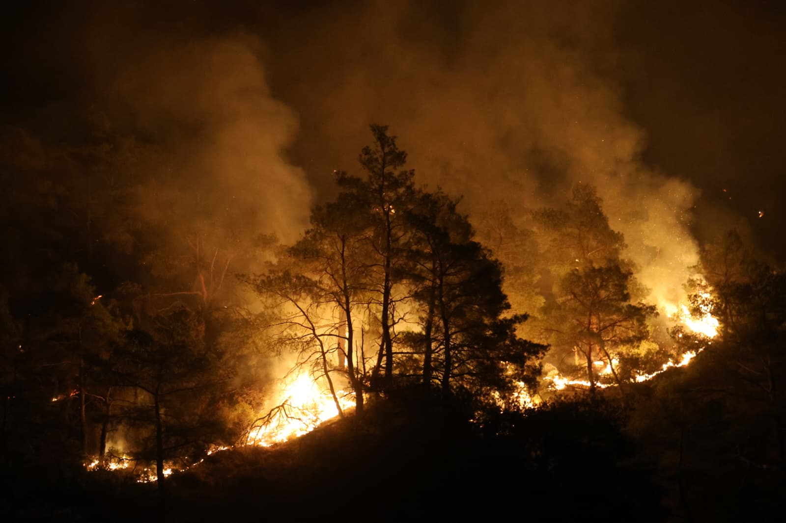 Whatsapp Image 2025 09 01 At 10.23.32