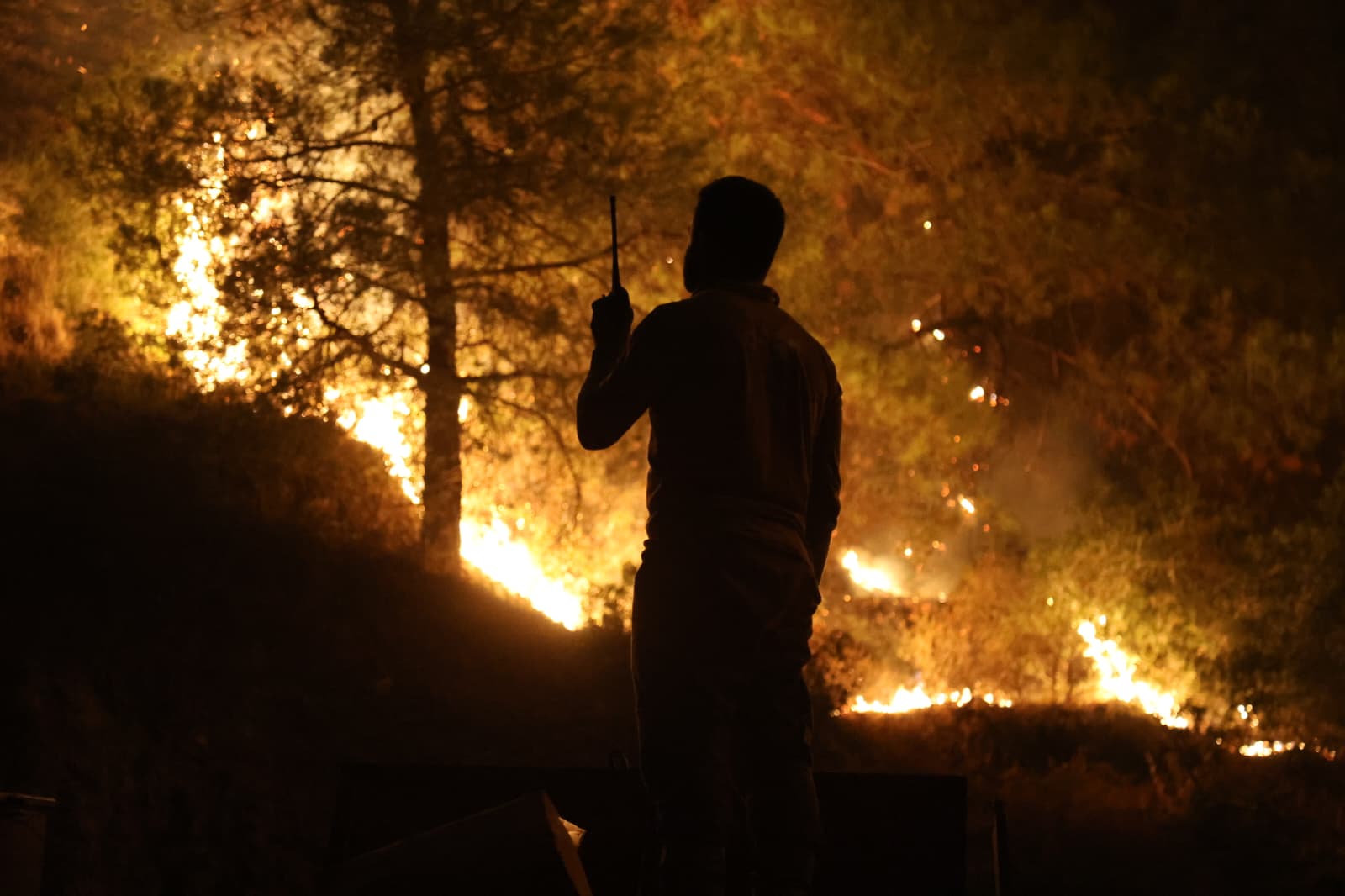 Whatsapp Image 2025 09 01 At 10.23.33