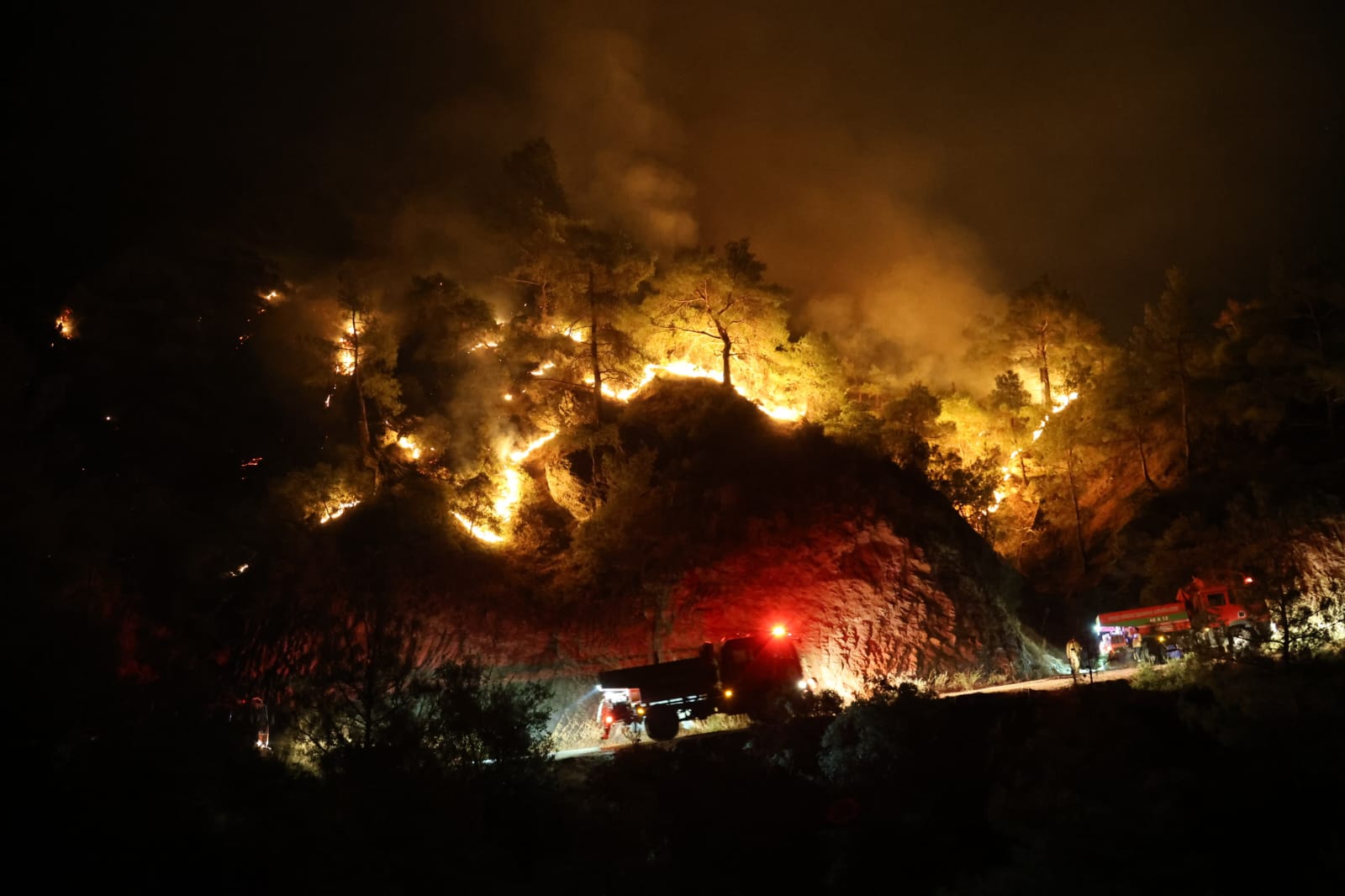 Whatsapp Image 2025 09 01 At 10.23.36