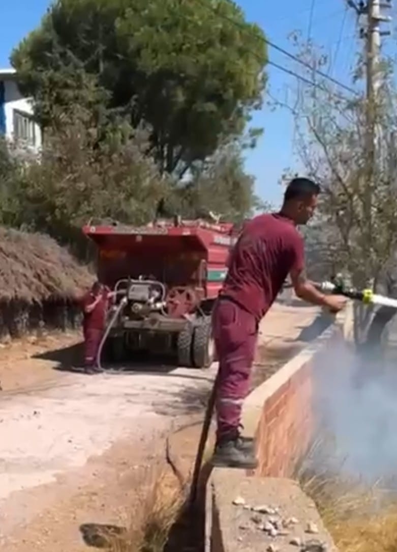 Whatsapp Image 2025 09 01 At 18.31.33