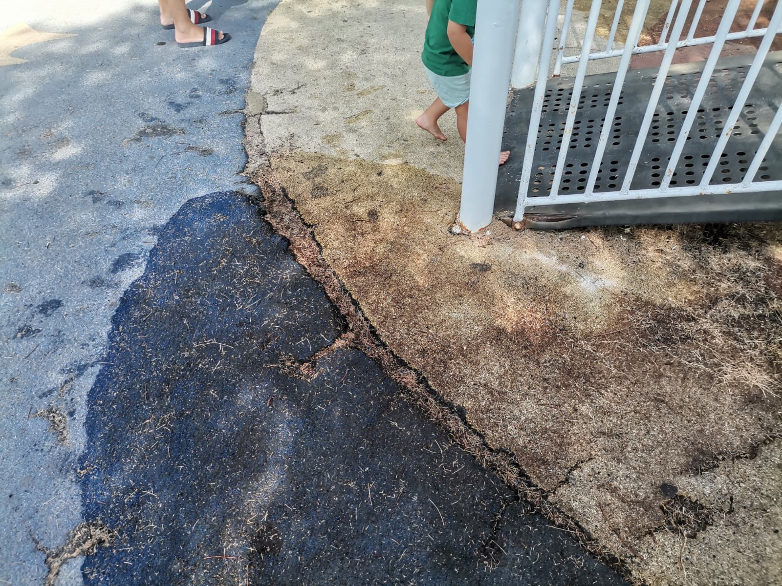 Whatsapp Image 2025 09 04 At 16.03.01