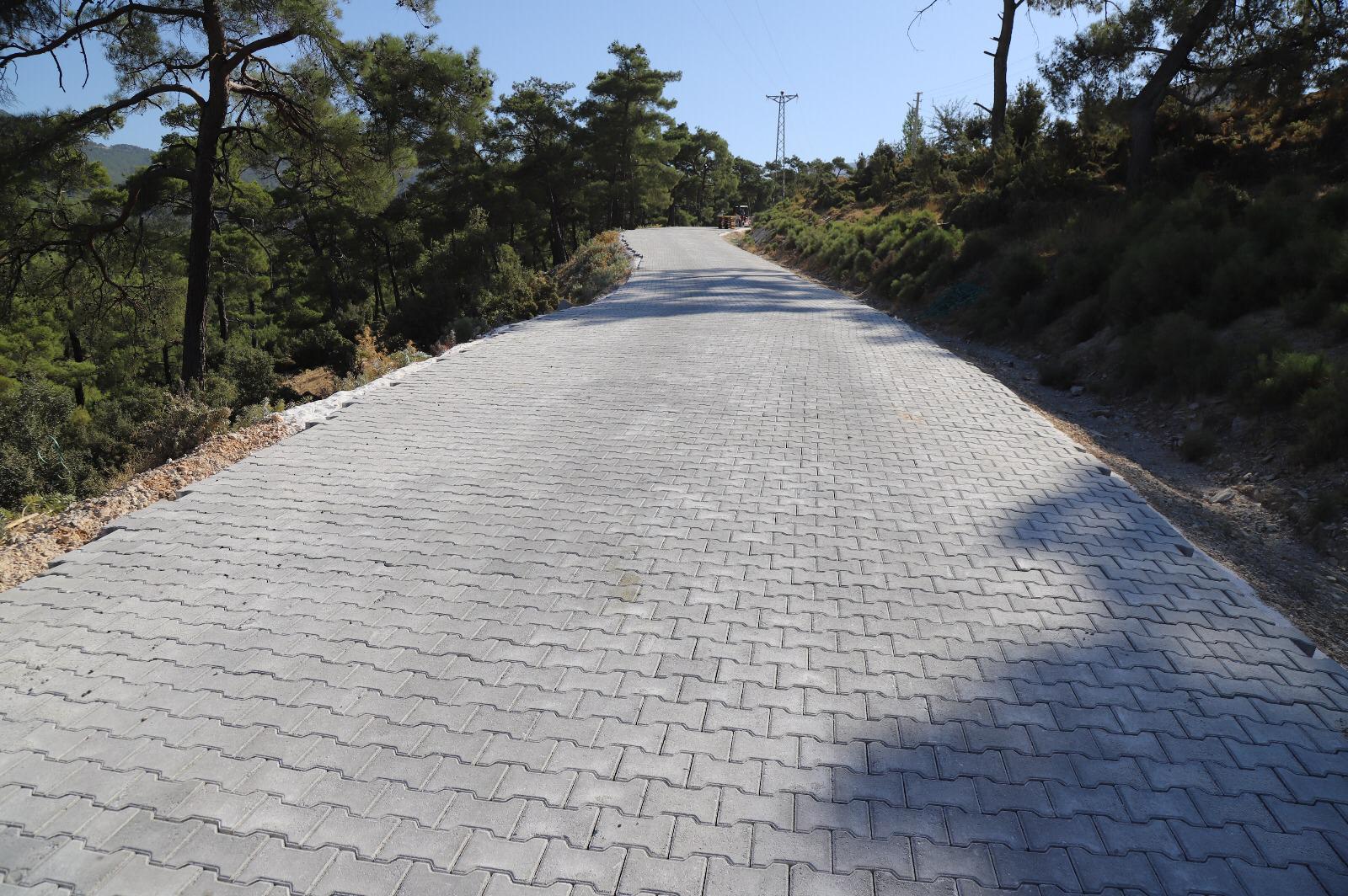 Whatsapp Image 2025 09 05 At 19.17.22