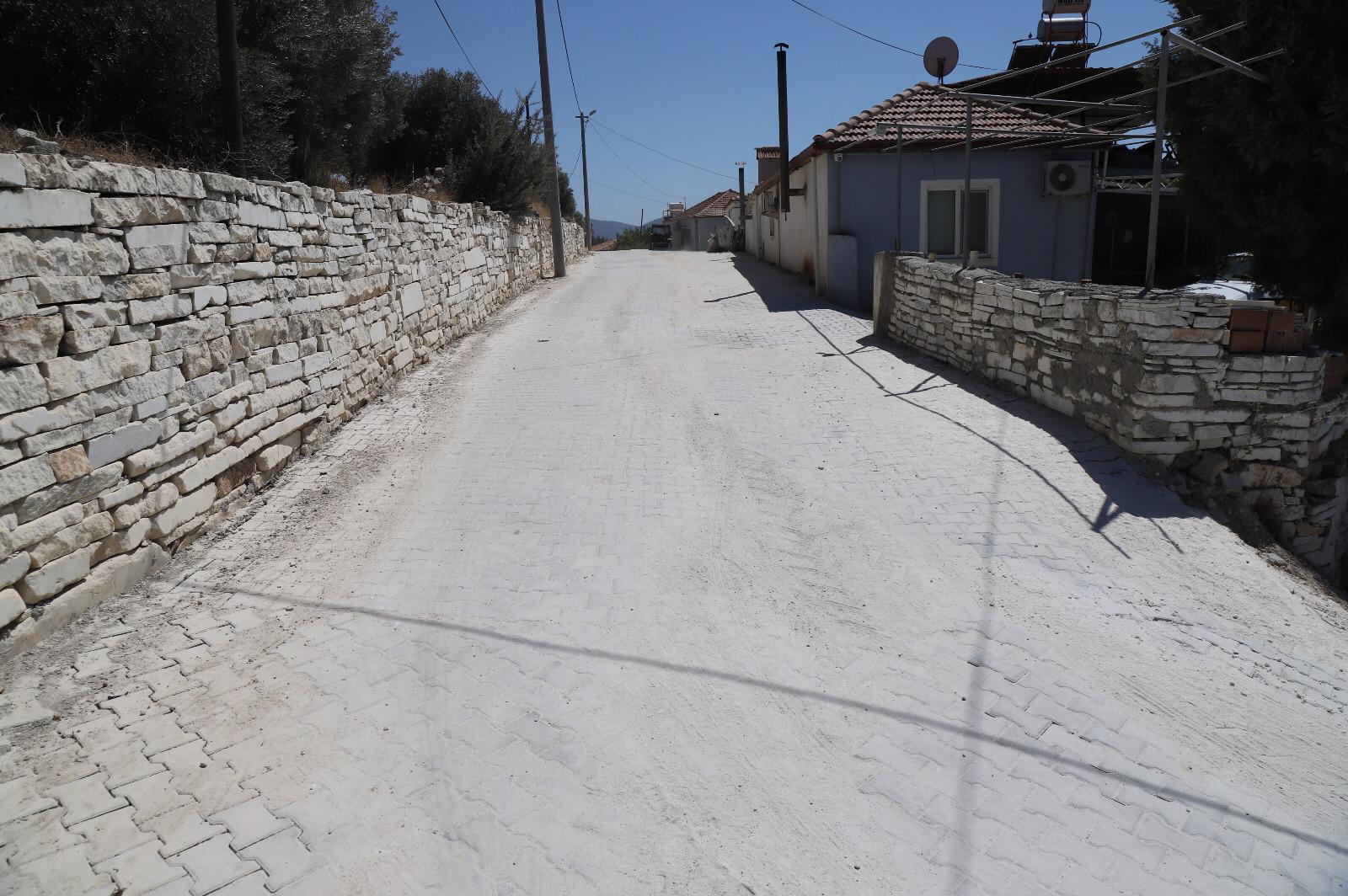 Whatsapp Image 2025 09 05 At 19.17.23