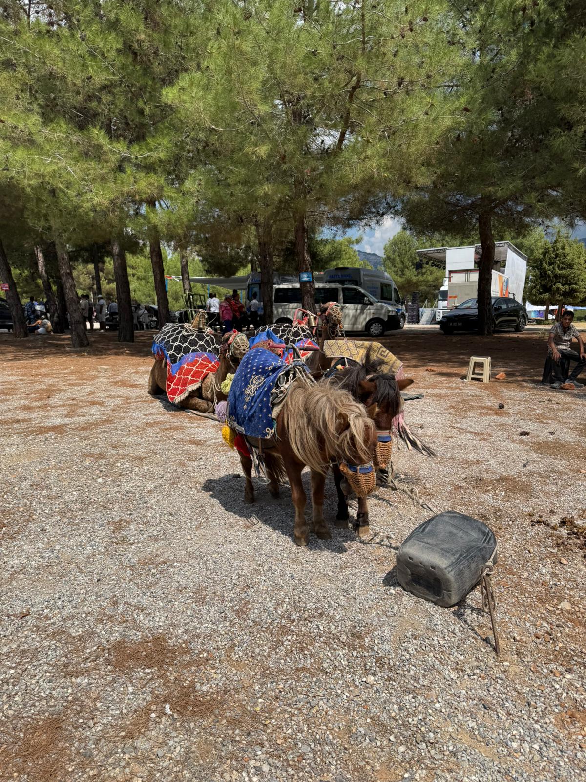 Whatsapp Image 2025 09 07 At 10.24.43 (2)