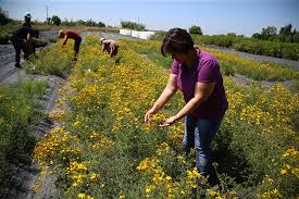 Whatsapp Image 2025 09 10 At 11.12.14 (1)